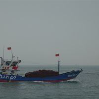 建設(shè)時(shí)產(chǎn)6000噸骨料系統(tǒng)、3.5公里廊道、配套3000萬(wàn)噸碼頭！中電建廣東陽(yáng)江大礦來(lái)了