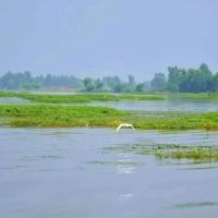 徐州市公安局成功破獲一起非法采砂案，涉案160余萬元