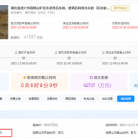 1.5元/噸！亞東水泥競得湖北武穴950萬噸/年砂石大礦